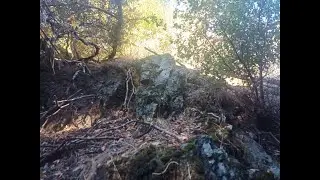 Rock Outcrop Along the Stevens Canyon Trail