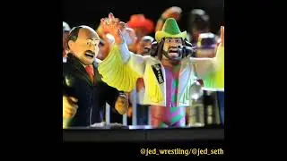 Hulk Hogan vs Undertaker - WWF Hasbro AI Toy Photo wrestling match