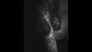 Room - Skolopendra