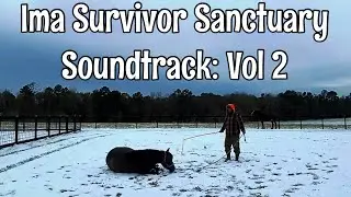 Ima Survivor Sanctuary Soundtrack:  volume 2