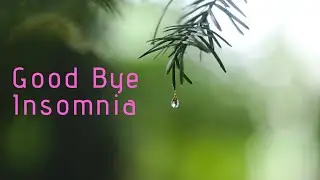 Good By Insomnia | Thunderstorm Sounds for Sleep  Relaxation  Thunder  Rain Sound | RMB