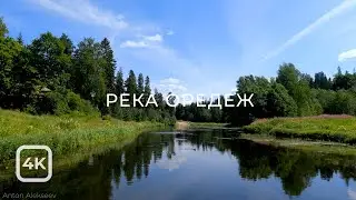 Летняя прогулка на SUP по реке Оредеж. [2] / Summer SUP ride on the Oredezh River [2]