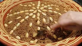 سفوف تقليدي بزيت الزيتون والعسل مذاق لا يقاوم