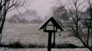 Winterimpressionen in Stadland