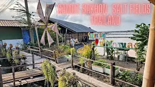 Virtual Tour: Samut Sakhon Brine Salt Fields Thailand