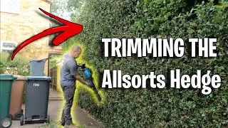 Regular Maintenance Visit HEDGES