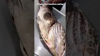 Grouper fish boneless cutting