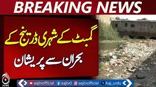 Gambat Drainage Issue | Municipal Neglect | Madina Colony Problems | Civic Concerns - Pakistan news