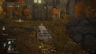 Elden Ring - Draconic Tree Sentinel Boss Fight (Capital Outskirts)
