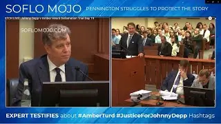 JOHNNYS Lawyer DESTROYS Ambers EXPERT WITNESS Testimony