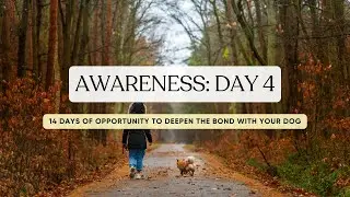 Awareness DAY 4 | 14 days of opportunity to deepen the bond with your dog