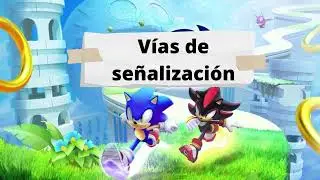 Sonic HedgeHog &iquest;Prote&iacute;na y videojuego?