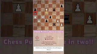 White Pawn on a4 attacked! - auto chess