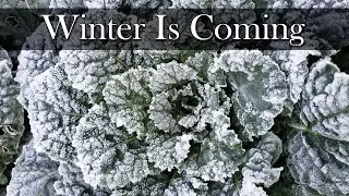Winterizing Your Vegetable Garden - 6 Tips For 2023!