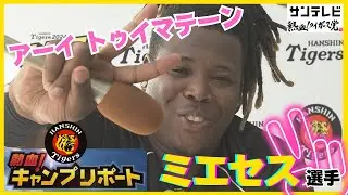 【俊足だからいつでも盗塁はできるよ！】ミエセス選手のキャンプリポート2024！普段聞けないようなお話をたくさんお伺いしました！！ #熱血タイガース党
