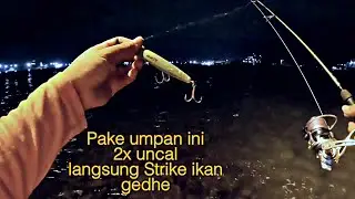 Mancing pinggiran pantai dapat ikan Barracuda