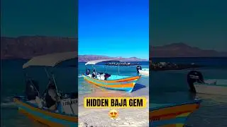 The Best Day Trip in Baja California Sur 🌵✨