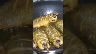 Climbing Perch Fish # Koi Mach Bhuna # Deshifood #fishcurry
