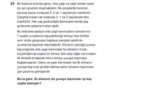 ÇALIŞKAN KARINCALAR 🥰