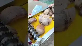 Super fast coconut shell crushing machine