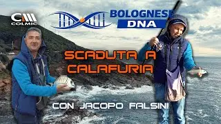 BOLOGNESE DNA | SCADUTA A CALAFURIA | EP.1  – COLMIC