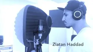 Fattar ingenting - Zlatan Haddad