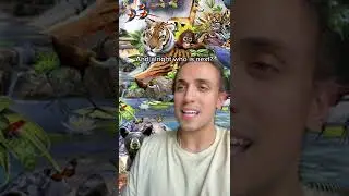Countries National Animals Pt 4