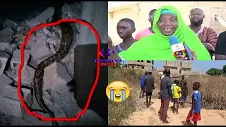 Niacoulrab : des serpents hantent le sommeil des habitants du quartier Darou Khalil