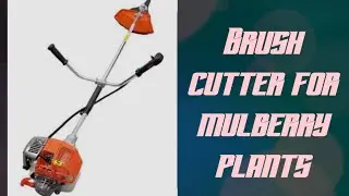 Weed Cleaning with brush cutter||#mulberrytree #agriculture #silkworm