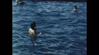 1950's People swimming at the Pella Swimming Pool