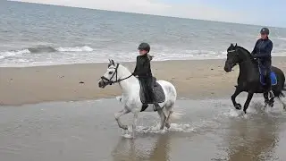 Strandrit op Texel met Pixel