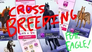 Breeding a few foals, feat. Eagle!