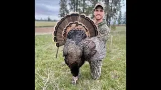 Should Reaping & Fanning Turkeys Be Illegal?