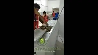 Waste Processing | SVM Infraestate | OWC Machines