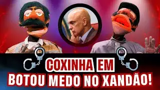 COXINHA EM CHOQUE: BOTOU MEDO NO XANDÃO!
