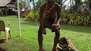 How to Open Coconut in Samoan Way