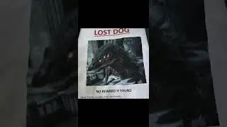 lost Dog__no reward if found#viral#memes#insta
