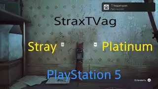 Stray на Platinum PS5