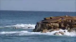 BatGalim surf 1
