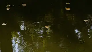 The Silent Risk Sitting on the Bottom of Your Lake