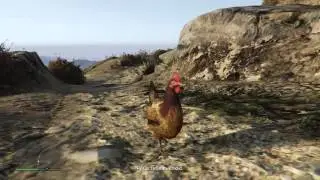GTA 5 - Chicken