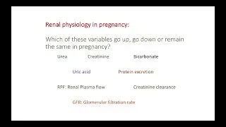 MRCOG lesson: Renal physiology in pregnancy. A sort-out MRCOG video from ACE Courses