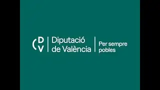 Sessió plenària ordinària de la Diputació de València corresponent al mes novembre de 2025