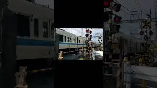 #japan #日本 #tokyo #train #lifeinjapan #radwimps #music
