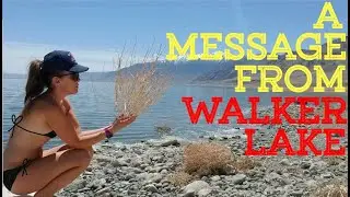 A Message of Hope From Walker Lake (Quarantine Vlog #3)