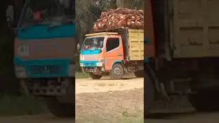 2 unit Truck canter muatan full #shortsvideo