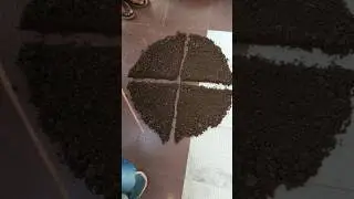 College me Soil Testing 😀 || #18 |  #shorts #minivlog #vlog #viral #soiltesting