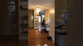 Miami Mold Specialist: Inside Look at Miami Mold Specialist Office Licensed by the State of Florida