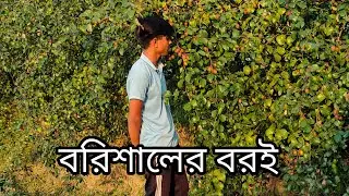 new blogging video #শীতের #সময়#panaboard #পানের বর #paneer Bagan #বরই বাগান