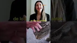 Nota en Infobae acerca de los beneficios de aplicar la Biodescodificaci&oacute;n a los  animalitos